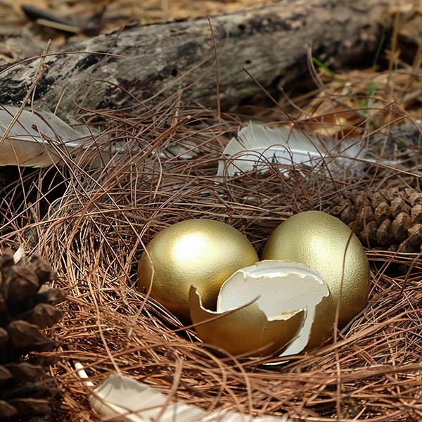 Golden_Egg Investments